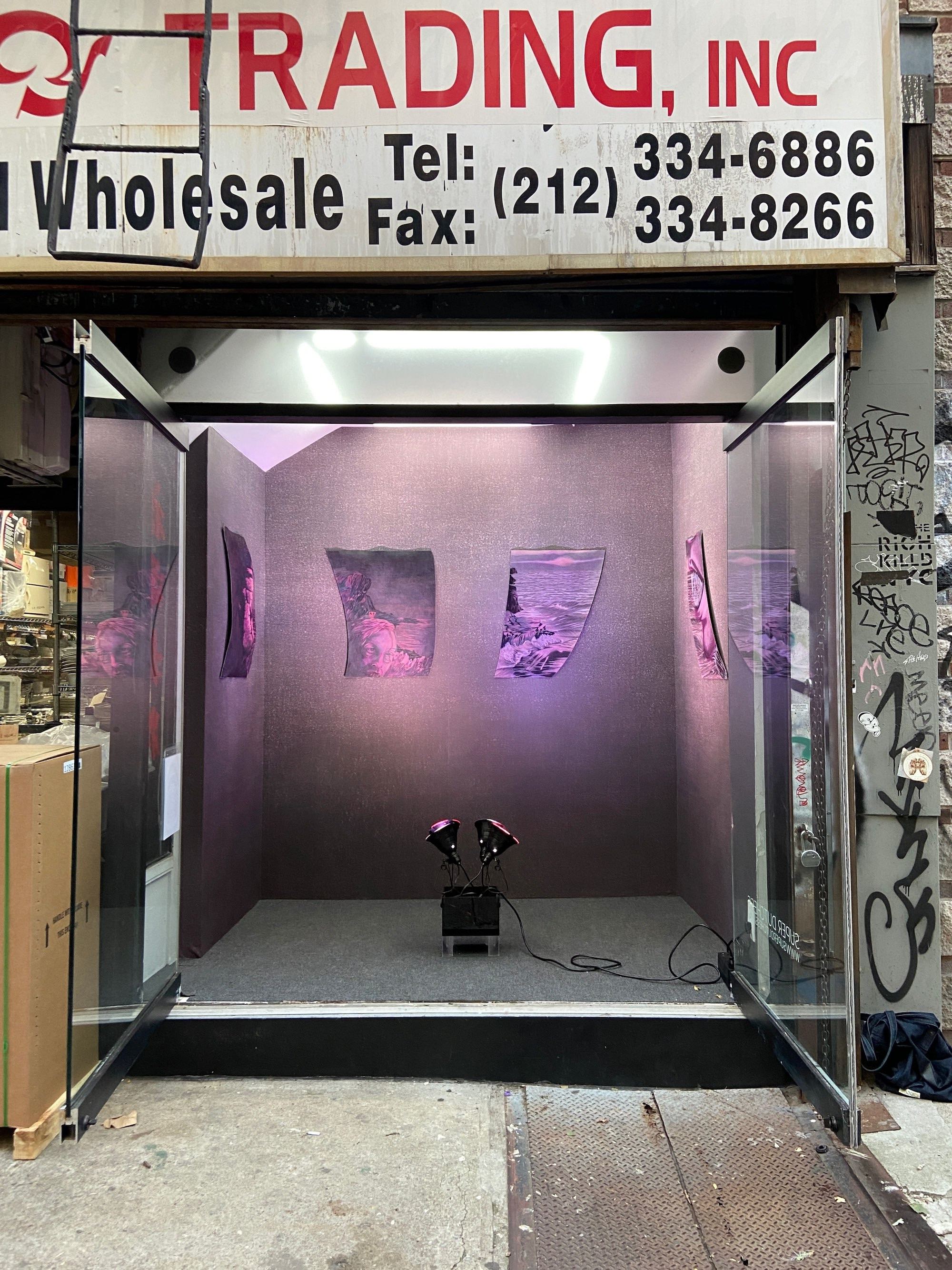 Exterior view of the installation in a storefront window